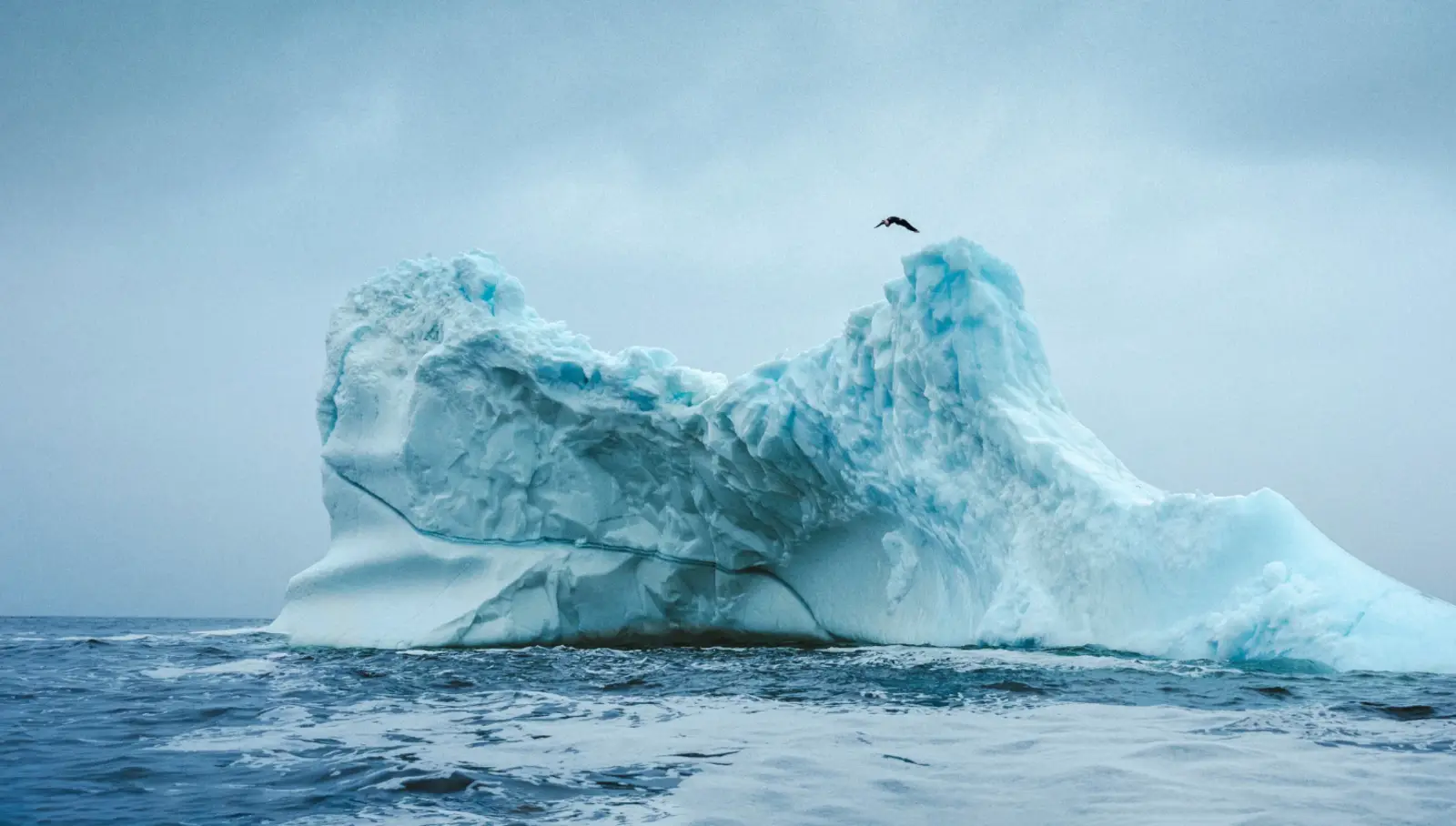 Molly Carlson devient la première femme à sauter en arrière depuis un iceberg flottant